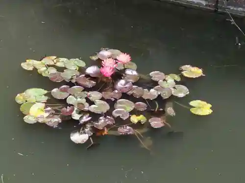 市原稲荷神社(愛知県)