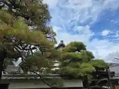 智恩寺(京都府)