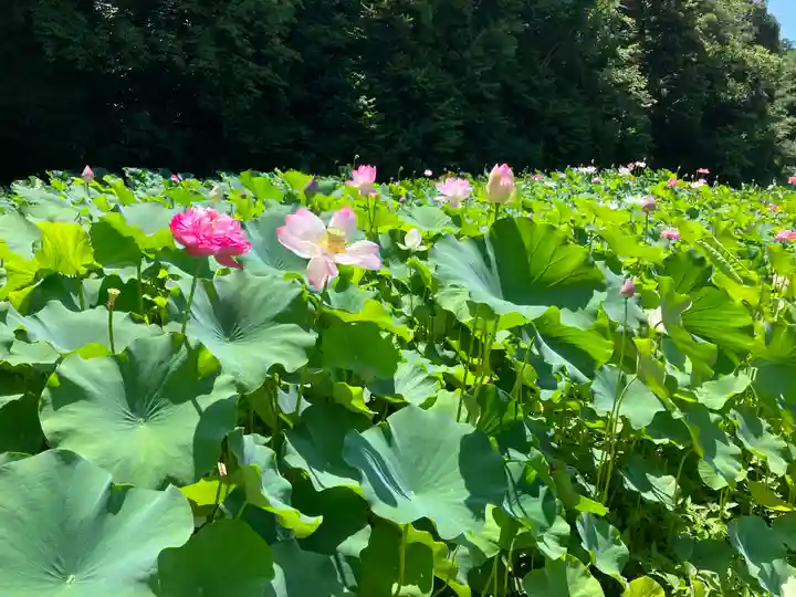 縁城寺(京都府)