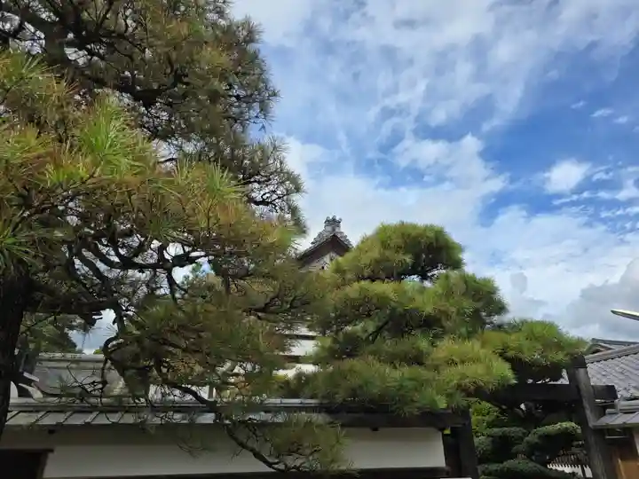 智恩寺(京都府)