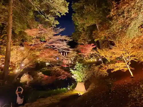 くろ谷 金戒光明寺(京都府)