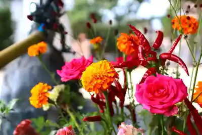 三津厳島神社の手水舎
