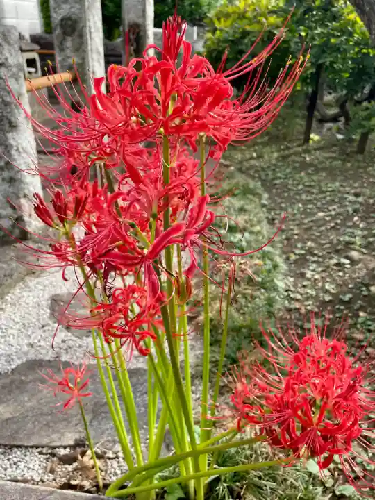 花蔵院(東京都)