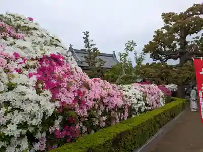 法雲寺(大阪府)