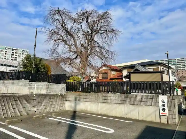 伝法寺の{uncategorized: "未分類", other: "その他", undefined: "問題あり", building: "その他建物", grave: "お墓", sacred_gate: "鳥居", guardian: "狛犬", statue: "像", buddha: "仏像", history: "歴史", nature: "自然", garden: "庭園", animal: "動物", pagoda: "塔", temizu: "手水舎", mountain_gate: "山門・神門", sanctuary: "本殿・本堂", subordinate: "末社・摂社", art: "芸術", scenery: "景色", jizo: "地蔵", ema: "絵馬", goshuin: "御朱印", omikuji: "おみくじ", items: "授与品その他", amulet: "お守り", goshuincho: "御朱印帳", eats: "食事", festival: "お祭り", votive_dance: "神楽", shichigosan: "七五三参", wedding: "結婚式", experience: "体験その他", initially: "初詣", around: "周辺", anti_infection: "感染症対策"}