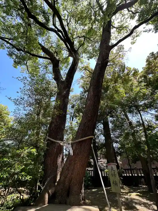 武蔵一宮氷川神社(埼玉県)
