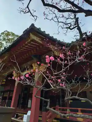 根津神社(東京都)