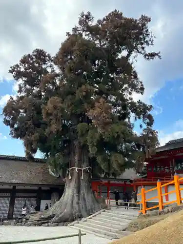 春日大社(奈良県)