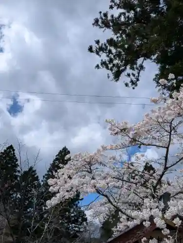 正一位 若草稲荷神社の{uncategorized: "未分類", other: "その他", undefined: "問題あり", building: "その他建物", grave: "お墓", sacred_gate: "鳥居", guardian: "狛犬", statue: "像", buddha: "仏像", history: "歴史", nature: "自然", garden: "庭園", animal: "動物", pagoda: "塔", temizu: "手水舎", mountain_gate: "山門・神門", sanctuary: "本殿・本堂", subordinate: "末社・摂社", art: "芸術", scenery: "景色", jizo: "地蔵", ema: "絵馬", goshuin: "御朱印", omikuji: "おみくじ", items: "授与品その他", amulet: "お守り", goshuincho: "御朱印帳", eats: "食事", festival: "お祭り", votive_dance: "神楽", shichigosan: "七五三参", wedding: "結婚式", experience: "体験その他", initially: "初詣", around: "周辺", anti_infection: "感染症対策"}