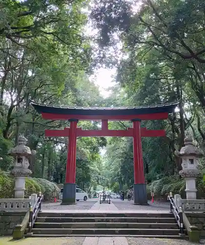 大宮八幡宮の鳥居