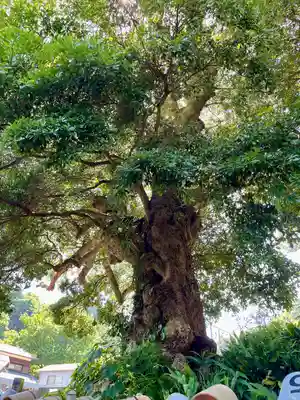 真福寺(神奈川県)