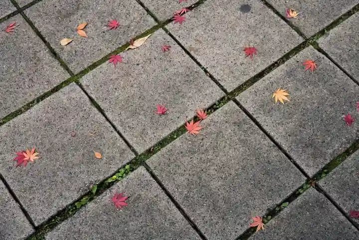 眞田神社の自然