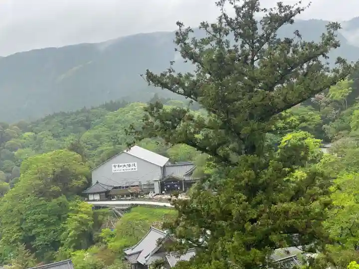 長谷寺の{uncategorized: "未分類", other: "その他", undefined: "問題あり", building: "その他建物", grave: "お墓", sacred_gate: "鳥居", guardian: "狛犬", statue: "像", buddha: "仏像", history: "歴史", nature: "自然", garden: "庭園", animal: "動物", pagoda: "塔", temizu: "手水舎", mountain_gate: "山門・神門", sanctuary: "本殿・本堂", subordinate: "末社・摂社", art: "芸術", scenery: "景色", jizo: "地蔵", ema: "絵馬", goshuin: "御朱印", omikuji: "おみくじ", items: "授与品その他", amulet: "お守り", goshuincho: "御朱印帳", eats: "食事", festival: "お祭り", votive_dance: "神楽", shichigosan: "七五三参", wedding: "結婚式", experience: "体験その他", initially: "初詣", around: "周辺", anti_infection: "感染症対策"}