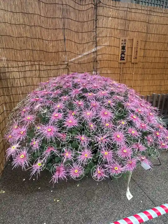 湯島天満宮(東京都)