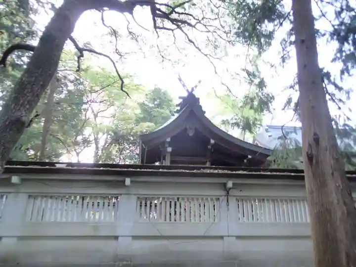 忌部神社の本殿・本堂