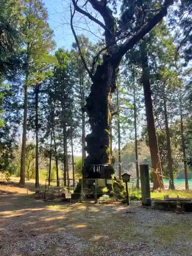 丸嶽山神社(栃木県)