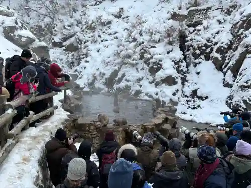 上林不動尊の{uncategorized: "未分類", other: "その他", undefined: "問題あり", building: "その他建物", grave: "お墓", sacred_gate: "鳥居", guardian: "狛犬", statue: "像", buddha: "仏像", history: "歴史", nature: "自然", garden: "庭園", animal: "動物", pagoda: "塔", temizu: "手水舎", mountain_gate: "山門・神門", sanctuary: "本殿・本堂", subordinate: "末社・摂社", art: "芸術", scenery: "景色", jizo: "地蔵", ema: "絵馬", goshuin: "御朱印", omikuji: "おみくじ", items: "授与品その他", amulet: "お守り", goshuincho: "御朱印帳", eats: "食事", festival: "お祭り", votive_dance: "神楽", shichigosan: "七五三参", wedding: "結婚式", experience: "体験その他", initially: "初詣", around: "周辺", anti_infection: "感染症対策"}