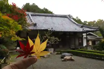 積善寺(京都府)
