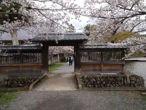 大覚寺(京都府)