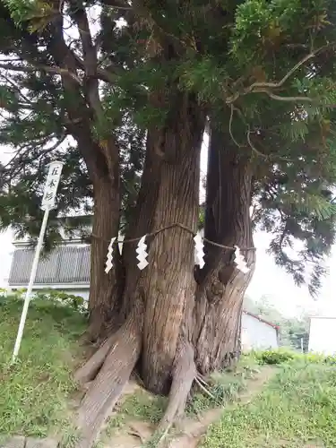 岩木山神社の自然