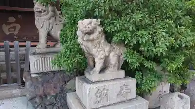 七宮神社の狛犬