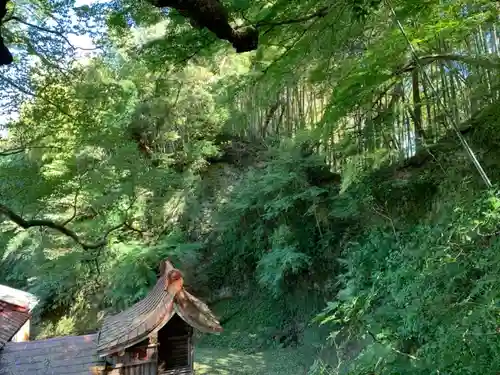 諏訪神社の自然