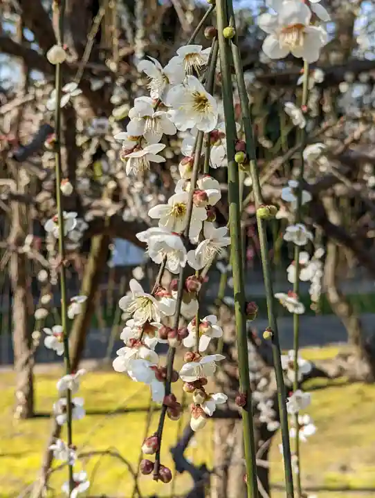 城南宮(京都府)