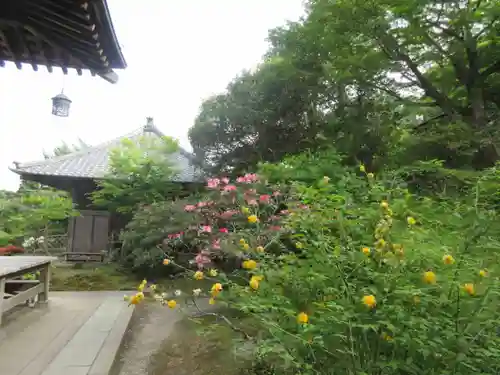 海蔵寺の景色