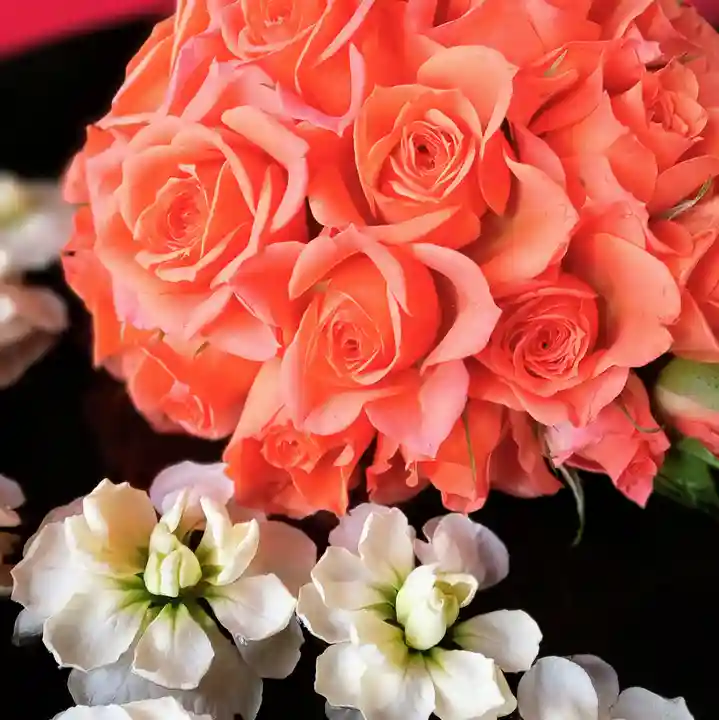 阿邪訶根神社(福島県)