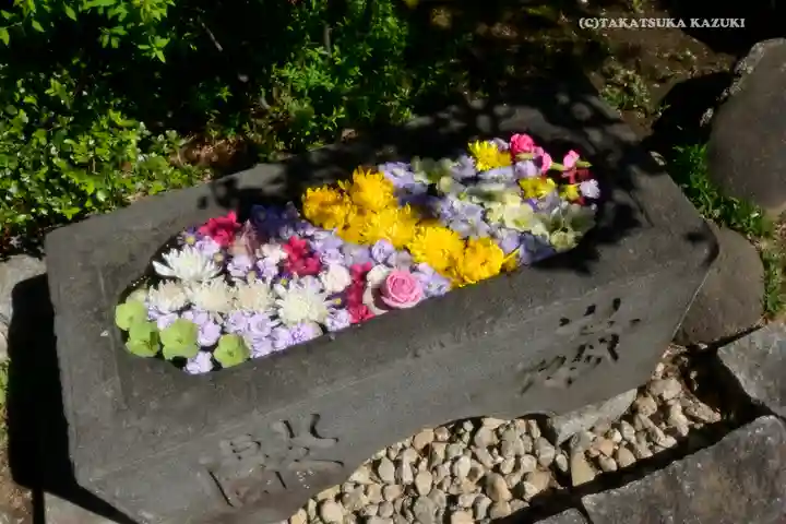 石歴山 妙勝寺の手水舎