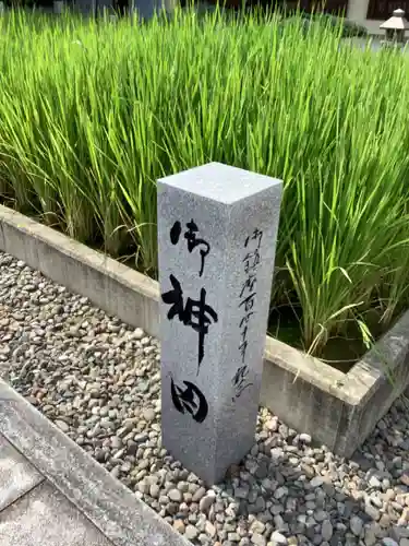 愛知縣護國神社の自然