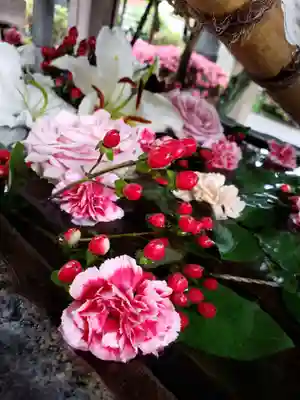 鳩森八幡神社(東京都)