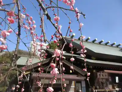 東京大神宮(東京都)