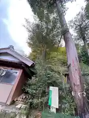 酒解神社(三重県)