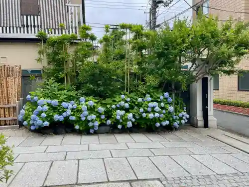 観妙寺(東京都)