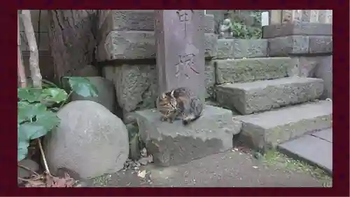 小野照崎神社(東京都)