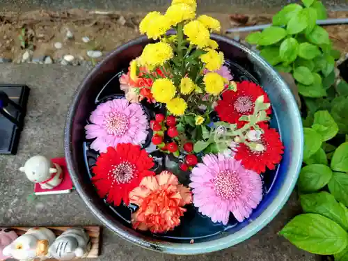 法輪寺(東京都)