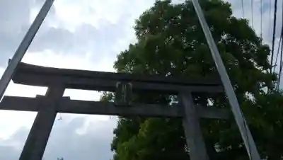 日枝神社の鳥居