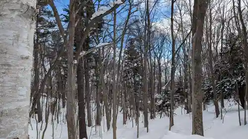 鷹栖神社の自然