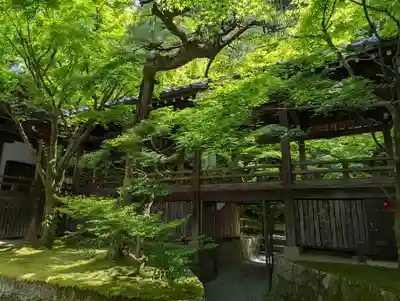 禅林寺(永観堂)(京都府)