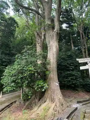 三輪神社(石川県)