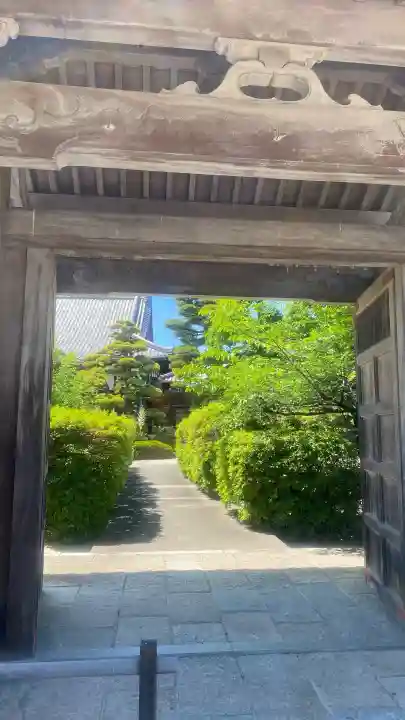 大通寺の{uncategorized: "未分類", other: "その他", undefined: "問題あり", building: "その他建物", grave: "お墓", sacred_gate: "鳥居", guardian: "狛犬", statue: "像", buddha: "仏像", history: "歴史", nature: "自然", garden: "庭園", animal: "動物", pagoda: "塔", temizu: "手水舎", mountain_gate: "山門・神門", sanctuary: "本殿・本堂", subordinate: "末社・摂社", art: "芸術", scenery: "景色", jizo: "地蔵", ema: "絵馬", goshuin: "御朱印", omikuji: "おみくじ", items: "授与品その他", amulet: "お守り", goshuincho: "御朱印帳", eats: "食事", festival: "お祭り", votive_dance: "神楽", shichigosan: "七五三参", wedding: "結婚式", experience: "体験その他", initially: "初詣", around: "周辺", anti_infection: "感染症対策"}