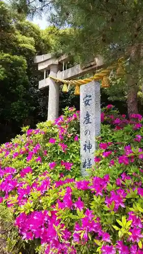 常宮神社の自然