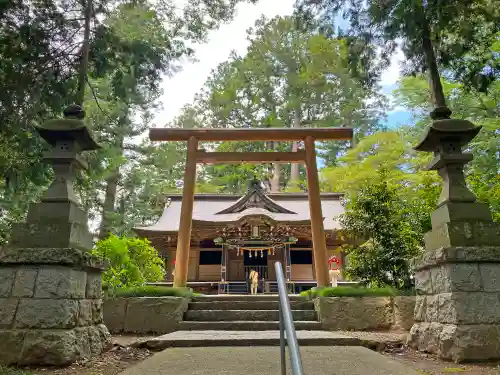 大井神社の鳥居