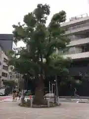 太田姫稲荷神社の自然