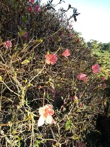 塩船観音寺の庭園