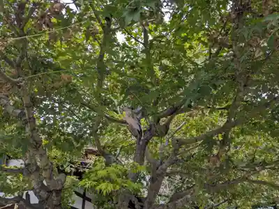 三輪神社(愛知県)
