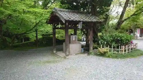 今熊野観音寺(京都府)