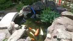 尾張猿田彦神社の庭園