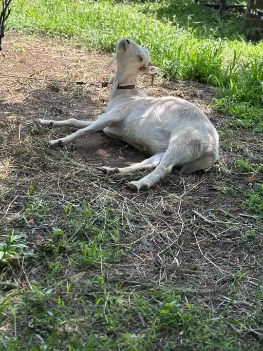 永福寺(東京都)
